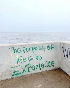 graffiti written on the side of a concrete wall next to the ocean with words that read, the purpose of life is to experience