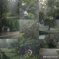 several different images of rain falling on trees and flowers in the foreground, with text reading rain