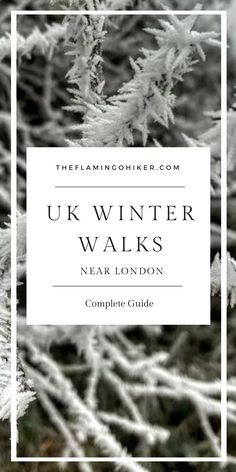 the winter walks near london, england with text overlay that reads uk winter walks near london