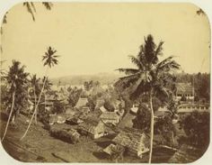 an old black and white photo of a village with palm trees in the foreground