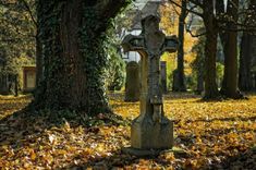 an old cemetery in the fall with leaves on the ground