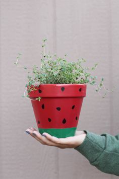 a hand holding a potted plant with green leaves and red spots on it,