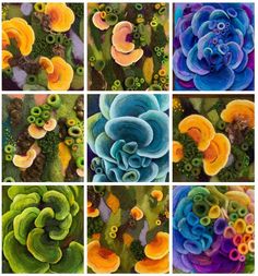 many different pictures of plants and flowers in the same color scheme, each with their own unique shapes