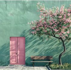 a pink door and bench in front of a green wall with flowers growing on it