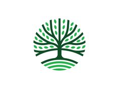 a green tree with leaves in the shape of a circle on a white background logo design