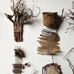 several different types of twigs and other items on a white surface, including bamboo sticks