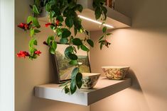 a potted plant sitting on top of a shelf next to a bowl filled with flowers