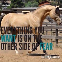 a horse running in an enclosure with a quote about everything you want is on the other side of fear