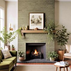 a living room with a fire place and potted plants on the fireplace mantel