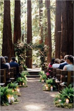 people are sitting in chairs at the end of a path surrounded by trees and candles