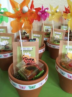 small potted plants with colorful flowers in them on top of a green tablecloth