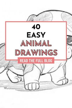 an animal drawing with the words 40 easy animal drawings read the full blog on it