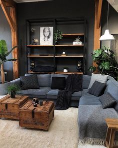 a living room filled with lots of furniture and plants on top of it's shelves