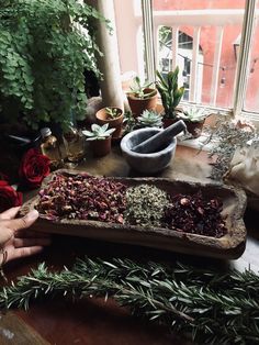 Apothecary Dining Room, Apothecary Set Up, Dark Apothecary Aesthetic, Greenhouse Apothecary, Apothecary Esthetics, Vintage Apothecary Aesthetic, Moody Apothecary, Witch Apothecary Aesthetic, Apothecary Plants