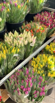 many different colored tulips are on display for sale