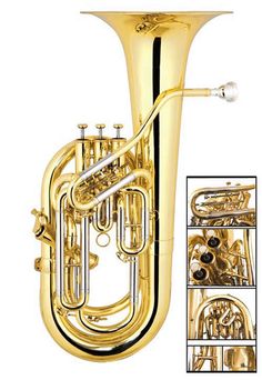 an image of a golden trumpet with different parts in the foreground and side view