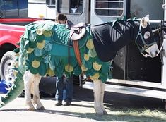 a horse that is standing next to a truck with a blanket on it's back