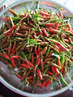 there is a plate full of carrots and green beans on the table, ready to be eaten