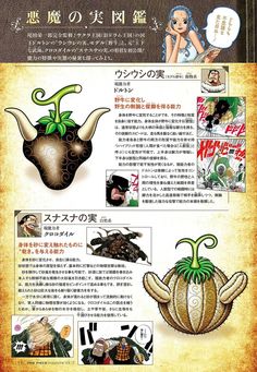 All Devil Fruits One Piece, Devil Fruit One Piece, One Piece Devil Fruit, One Piece Photos, Anime Devil