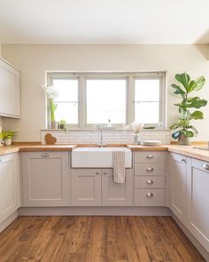 a kitchen with wooden floors and white cabinets, an island sink and two potted plants on the windowsill