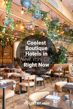 the inside of a restaurant with plants hanging from the ceiling and tables in front of it