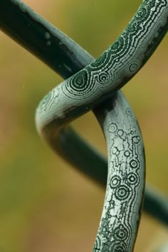 a close up view of a metal barbwire with intricate designs on the top