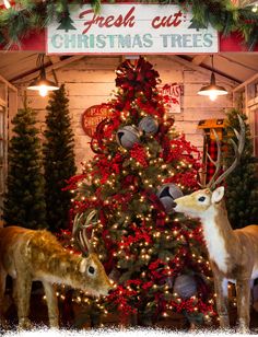 a christmas tree decorated with deer and other holiday decorations in front of a sign that reads fresh cut christmas trees