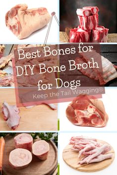 the best bones for diy bone broth for dogs to keep them from biting