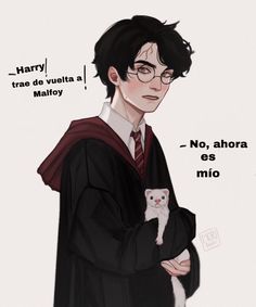 a drawing of harry potter holding a cat