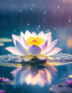 a water lily floating on top of a body of water with drops of rain falling from the sky