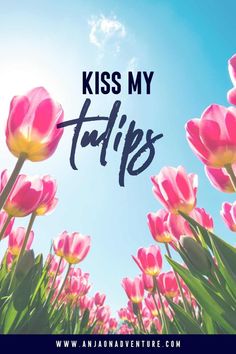 pink tulips with the words kiss my tulips in front of them