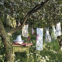 clothes hanging out to dry in an apple orchard