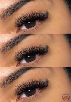 Fanning Lashes, Lash Tech Supplies, Lash Retention, Lash Boss, Lash Trays, Lash Supplies, Lash Mapping, Lash Extentions, Lash Technician