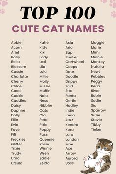 the top 100 cute cat names for cats and kittens in english, spanish, and french