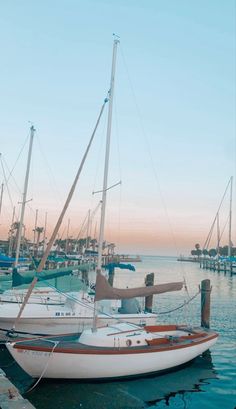 several sailboats are docked in the water