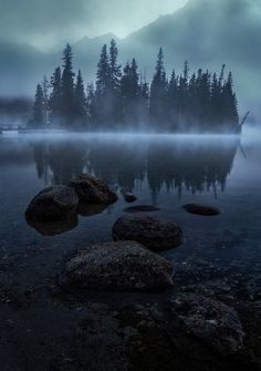 some rocks are in the water and fog is covering the mountains behind them with trees on either side