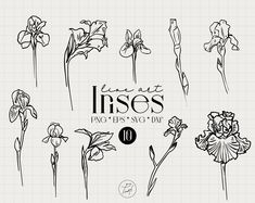 flowers drawn in black and white with the words irises written on it's side