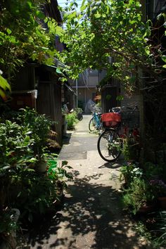 a bicycle parked on the side of a road next to trees and plants in front of buildings