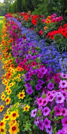 many different colored flowers line the side of a road in front of some trees and bushes