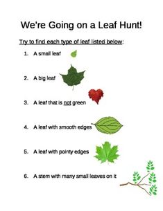 a leaf hunt is shown with the words, we're going on a leaf hunt