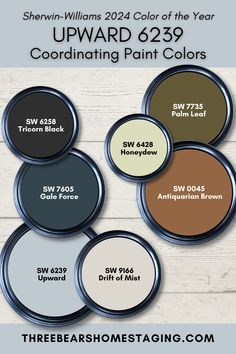 the best paint colors for walls and floors