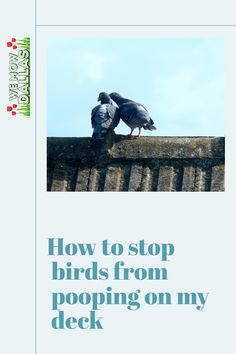 two birds sitting on top of a wall with the words how to stop birds from pooping on my deck