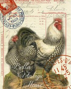 an old postcard with two chickens on it