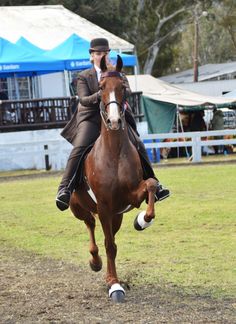 a woman riding on the back of a brown horse in a field next to tents