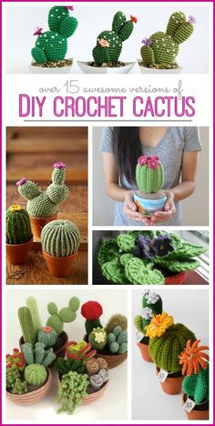 crochet cactus patterns and instructions to make them look like they are in the wild