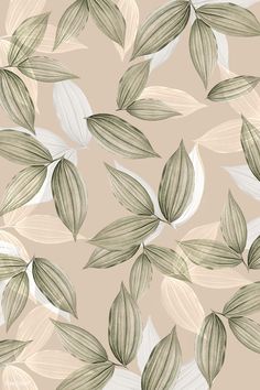 an image of leaves on a beige background