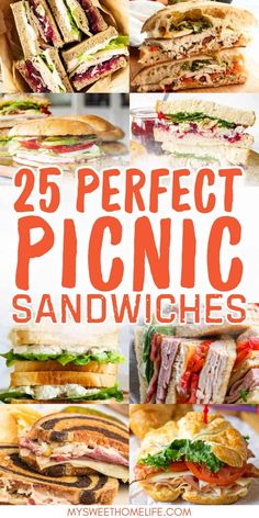 the 25 perfect picnic sandwiches with text overlay