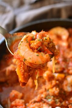 a spoon full of shrimp and tomato sauce