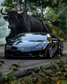 a black sports car parked next to a bull in the middle of a road with trees