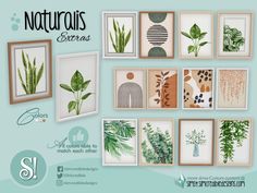 a set of framed pictures with different plants and leaves on them, all in wooden frames